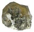 Hanksite Crystal Cluster - Trona, California #59610-1